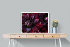 Purple Petals-Wall_Art-80 x 60cm-Mounted Canvas-White-Pixalot