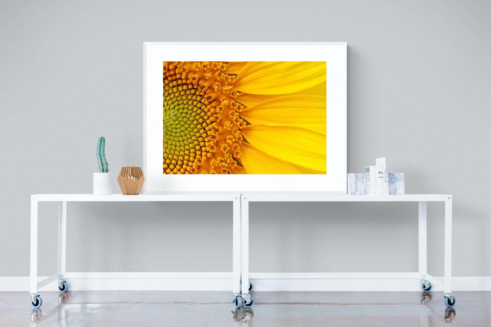 Radiant Sunflower-Wall_Art-120 x 90cm-Framed Print-White-Pixalot