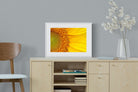 Radiant Sunflower-Wall_Art-60 x 45cm-Framed Print-White-Pixalot