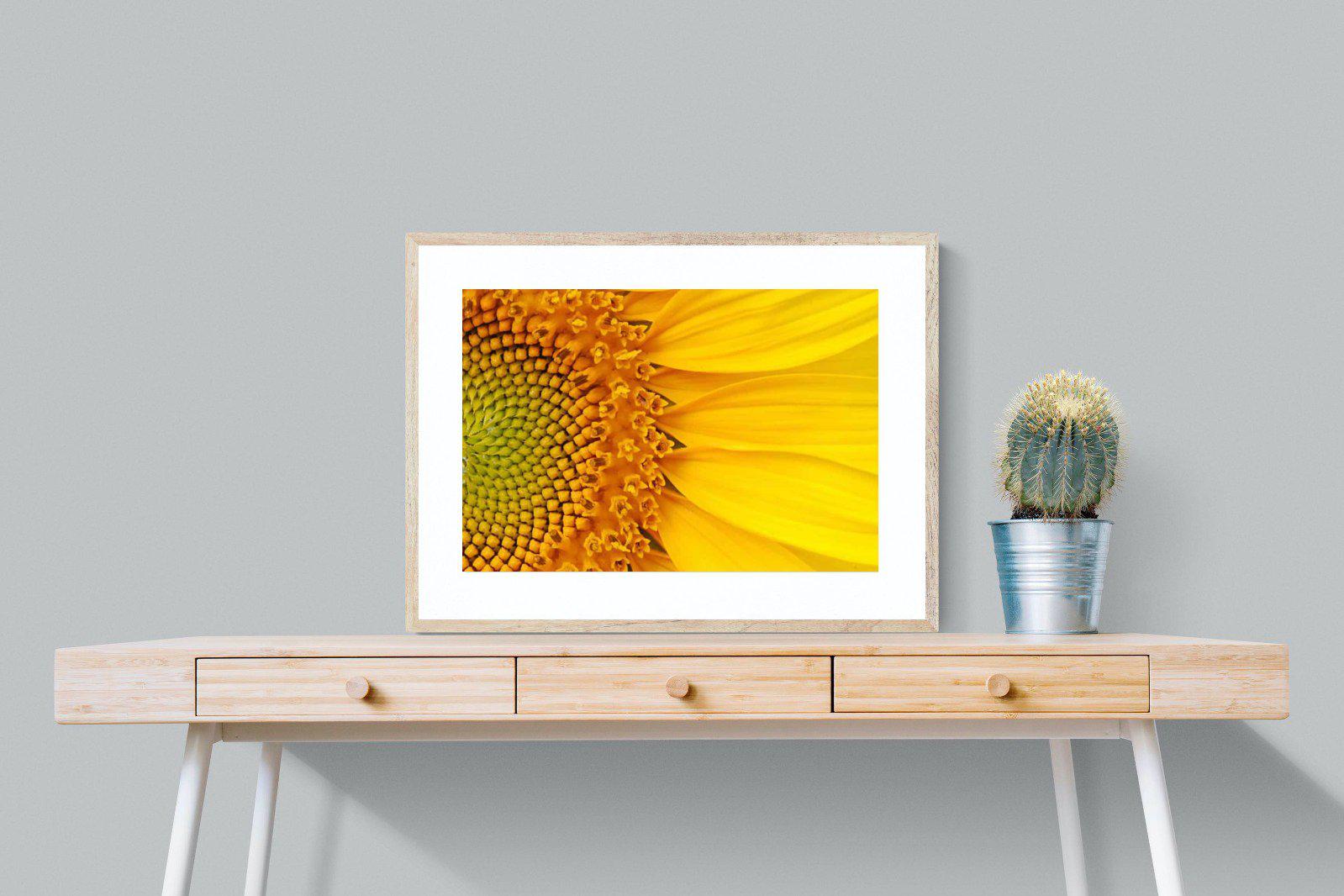 Radiant Sunflower-Wall_Art-80 x 60cm-Framed Print-Wood-Pixalot