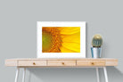 Radiant Sunflower-Wall_Art-80 x 60cm-Framed Print-White-Pixalot