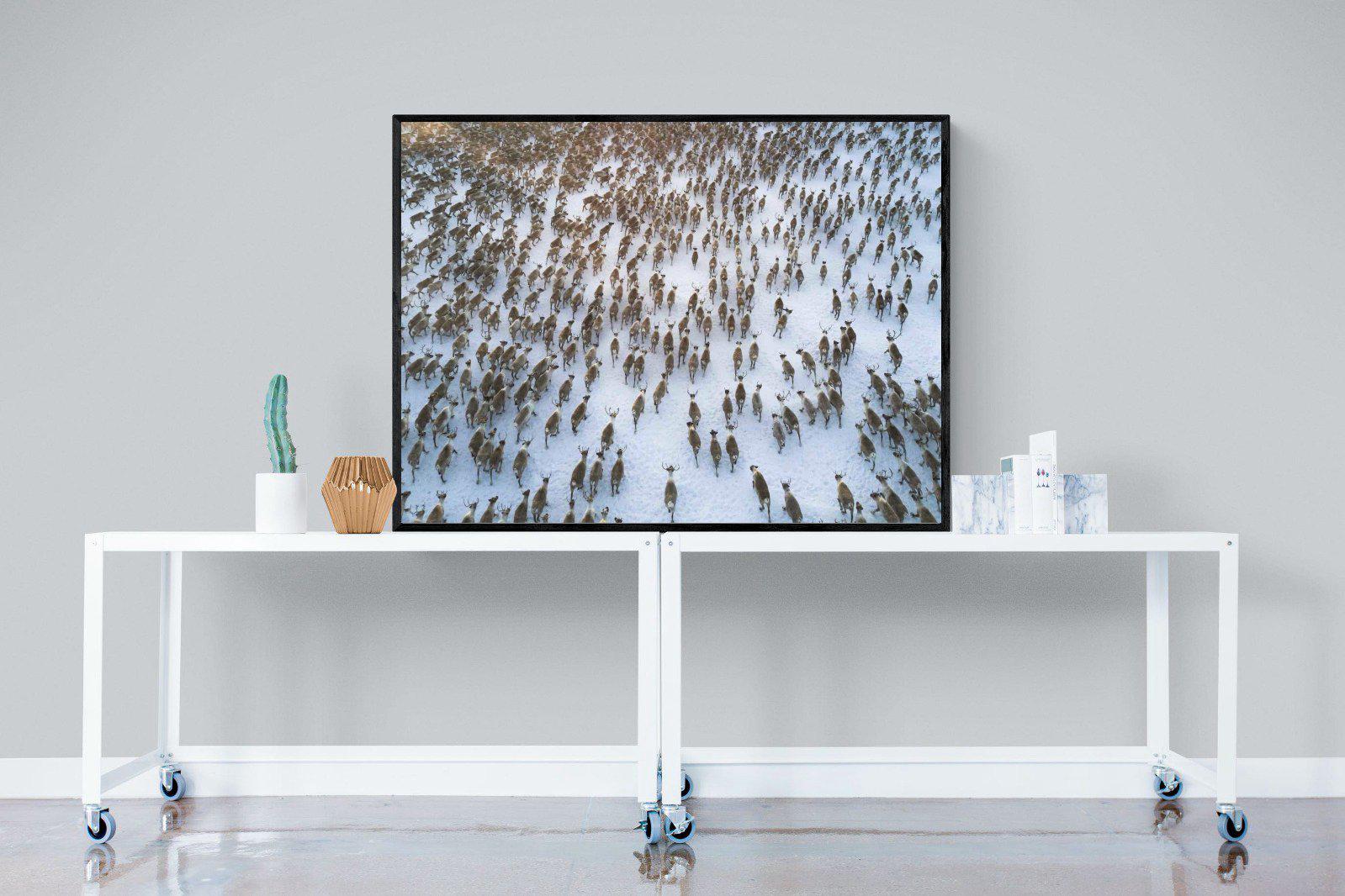 Reindeer Herd-Wall_Art-120 x 90cm-Mounted Canvas-Black-Pixalot