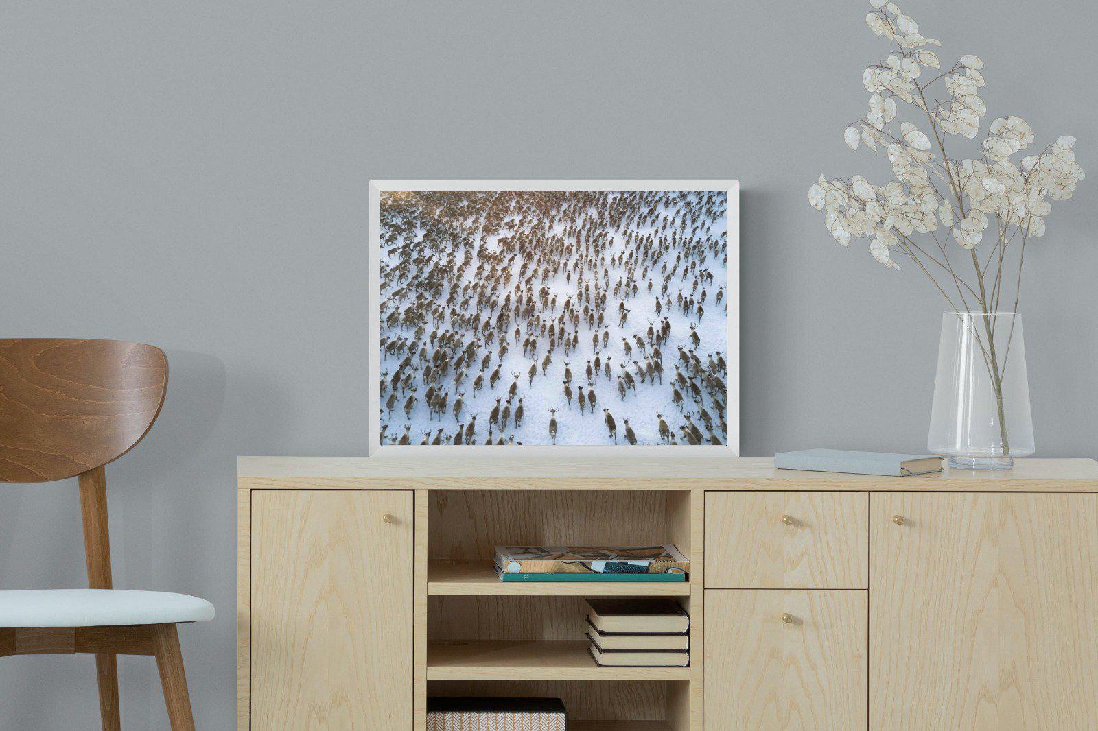 Reindeer Herd-Wall_Art-60 x 45cm-Mounted Canvas-White-Pixalot