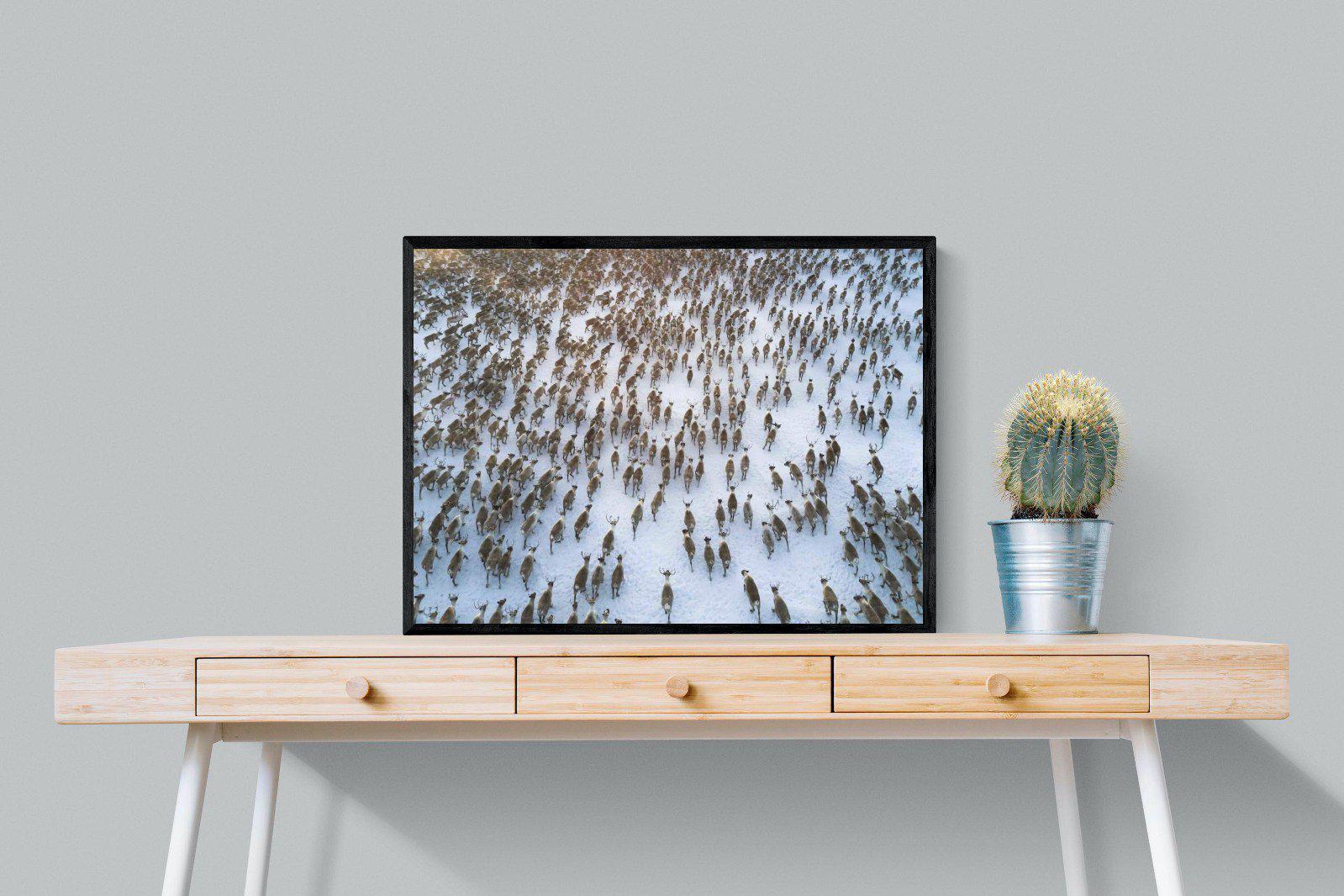 Reindeer Herd-Wall_Art-80 x 60cm-Mounted Canvas-Black-Pixalot