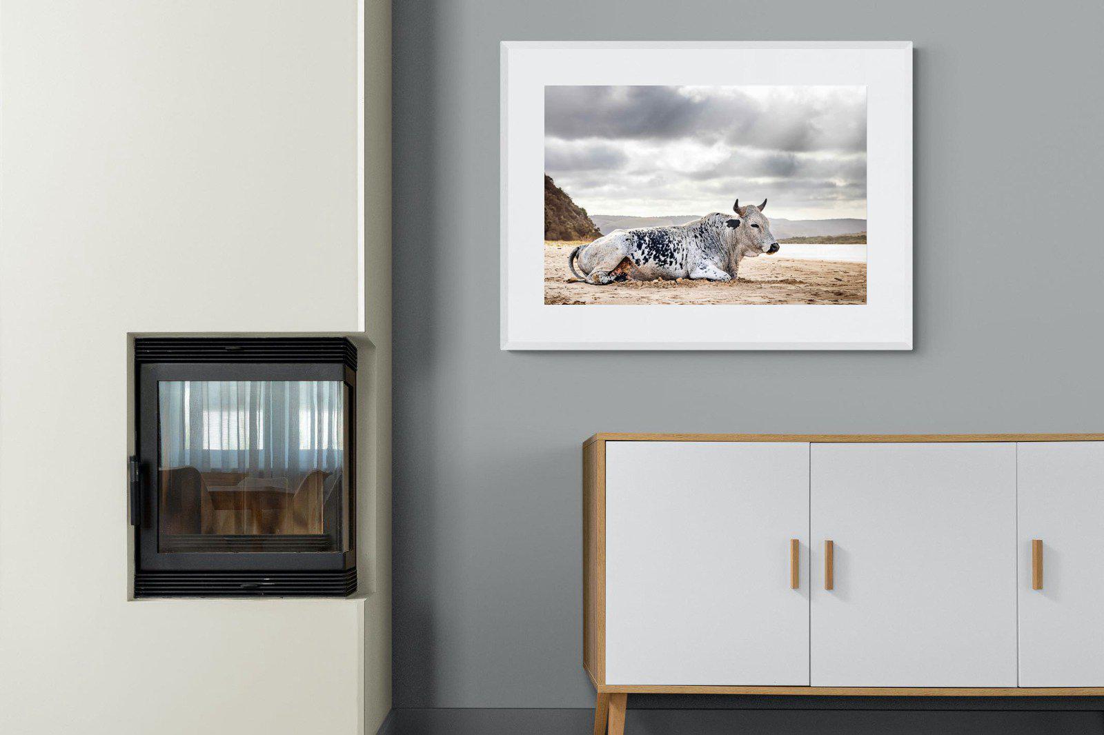 Resting Bull-Wall_Art-100 x 75cm-Framed Print-White-Pixalot