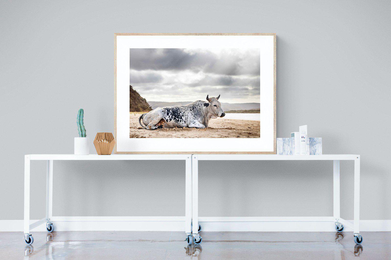 Resting Bull-Wall_Art-120 x 90cm-Framed Print-Wood-Pixalot