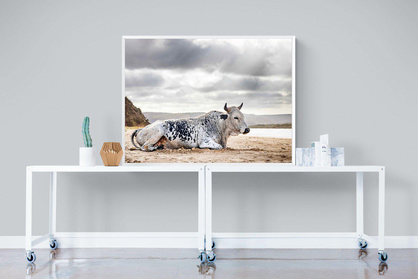 Resting Bull-Wall_Art-120 x 90cm-Mounted Canvas-White-Pixalot