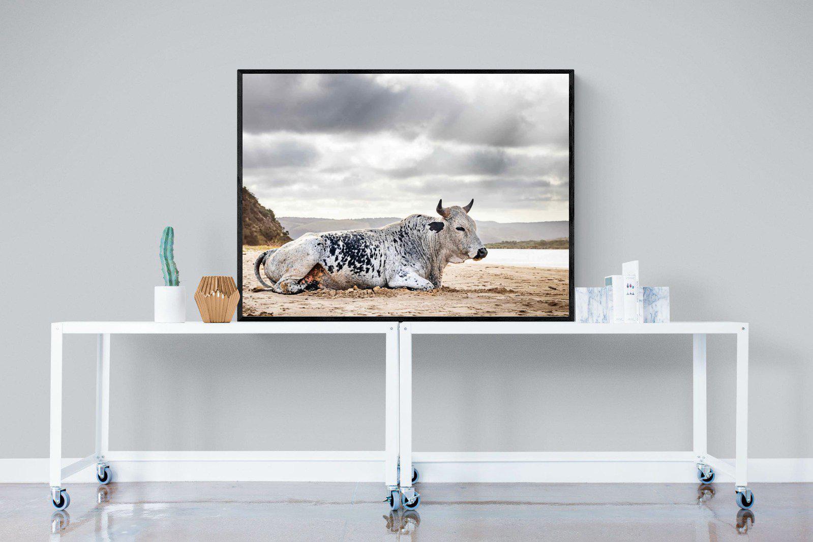 Resting Bull-Wall_Art-120 x 90cm-Mounted Canvas-Black-Pixalot