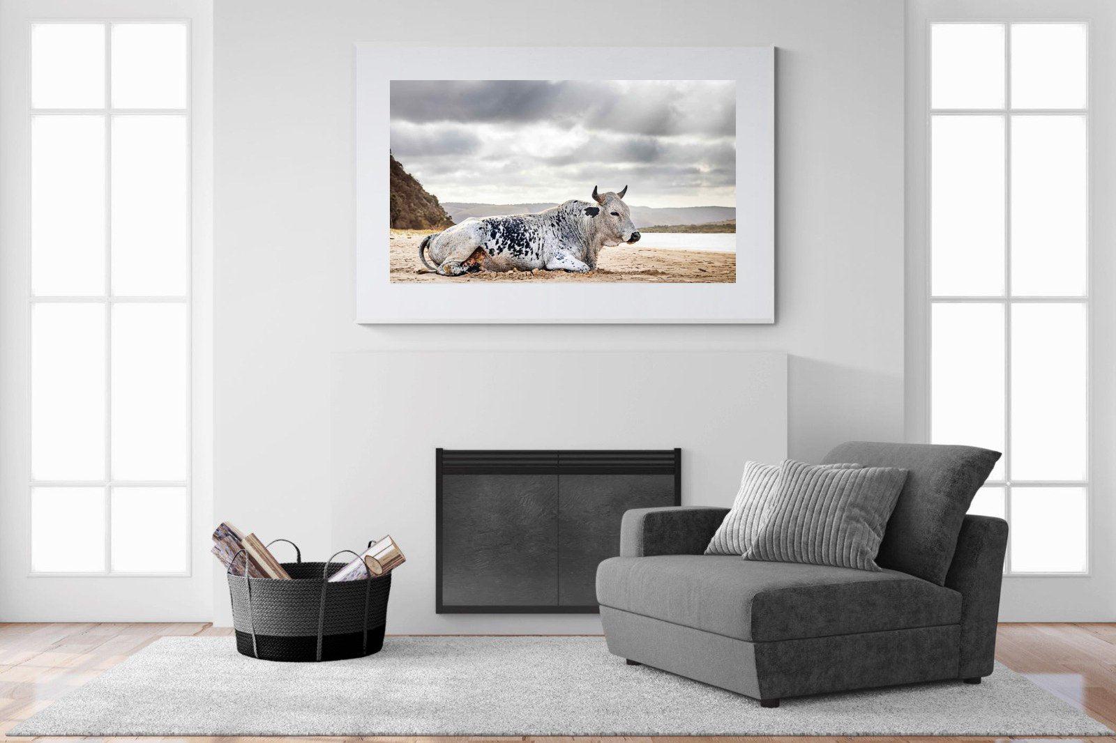 Resting Bull-Wall_Art-150 x 100cm-Framed Print-White-Pixalot