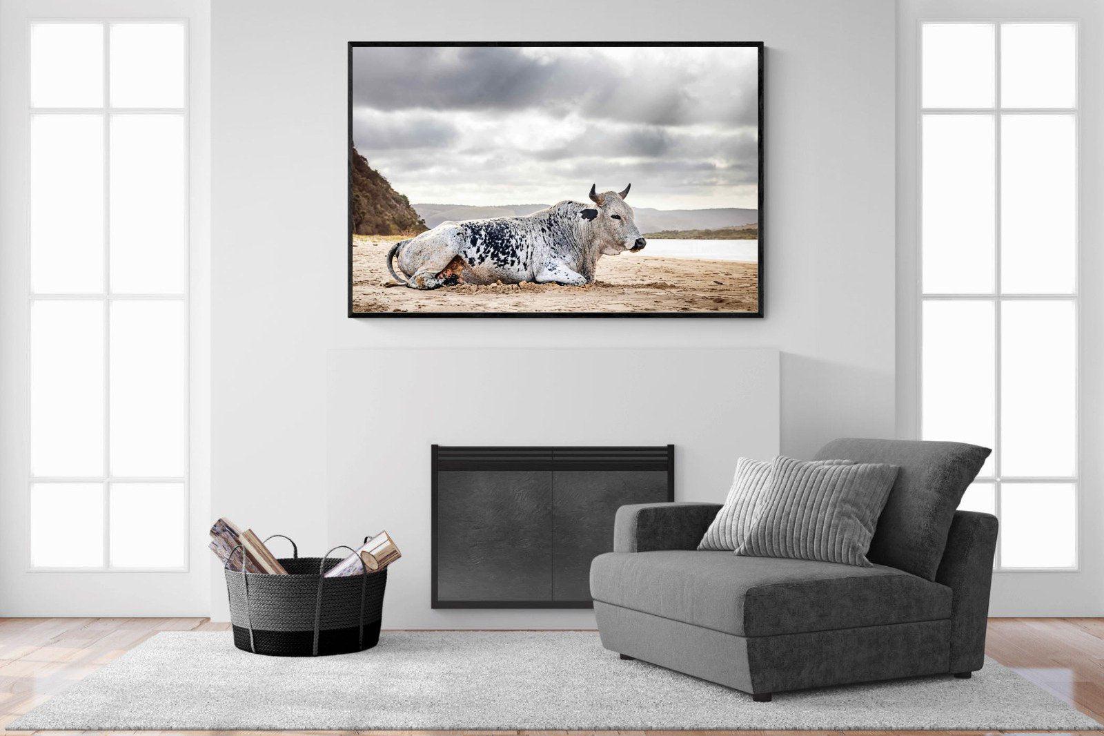 Resting Bull-Wall_Art-150 x 100cm-Mounted Canvas-Black-Pixalot