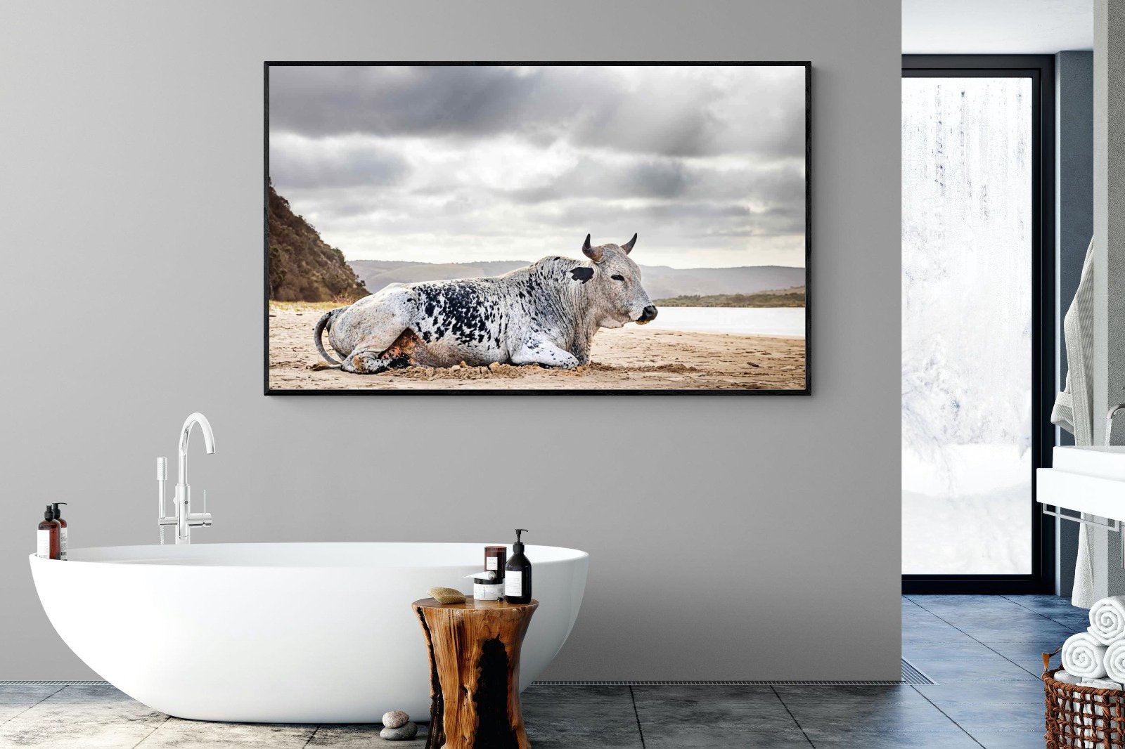 Resting Bull-Wall_Art-180 x 110cm-Mounted Canvas-Black-Pixalot