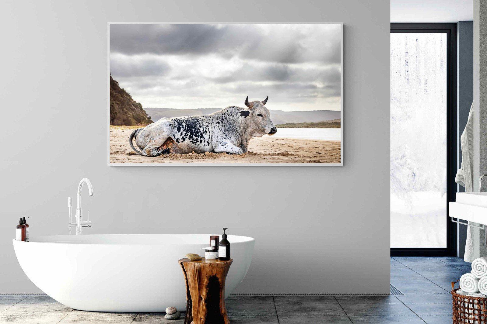 Resting Bull-Wall_Art-180 x 110cm-Mounted Canvas-White-Pixalot