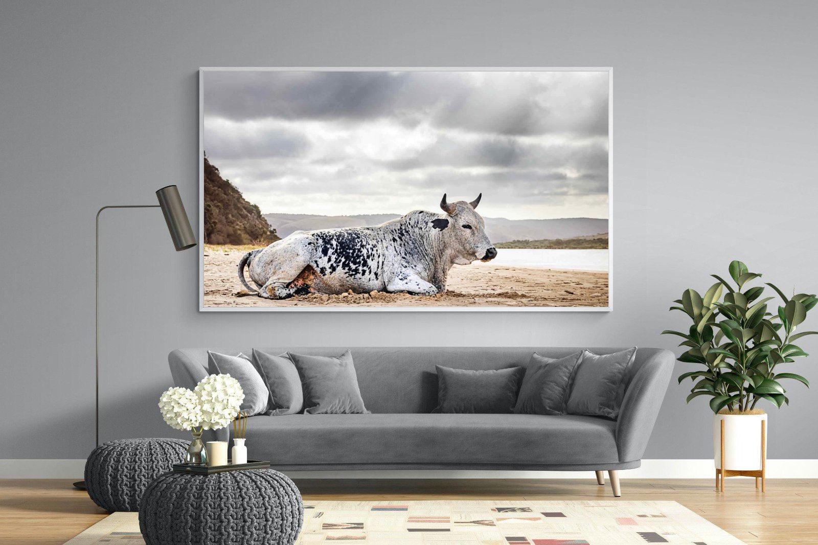 Resting Bull-Wall_Art-220 x 130cm-Mounted Canvas-White-Pixalot