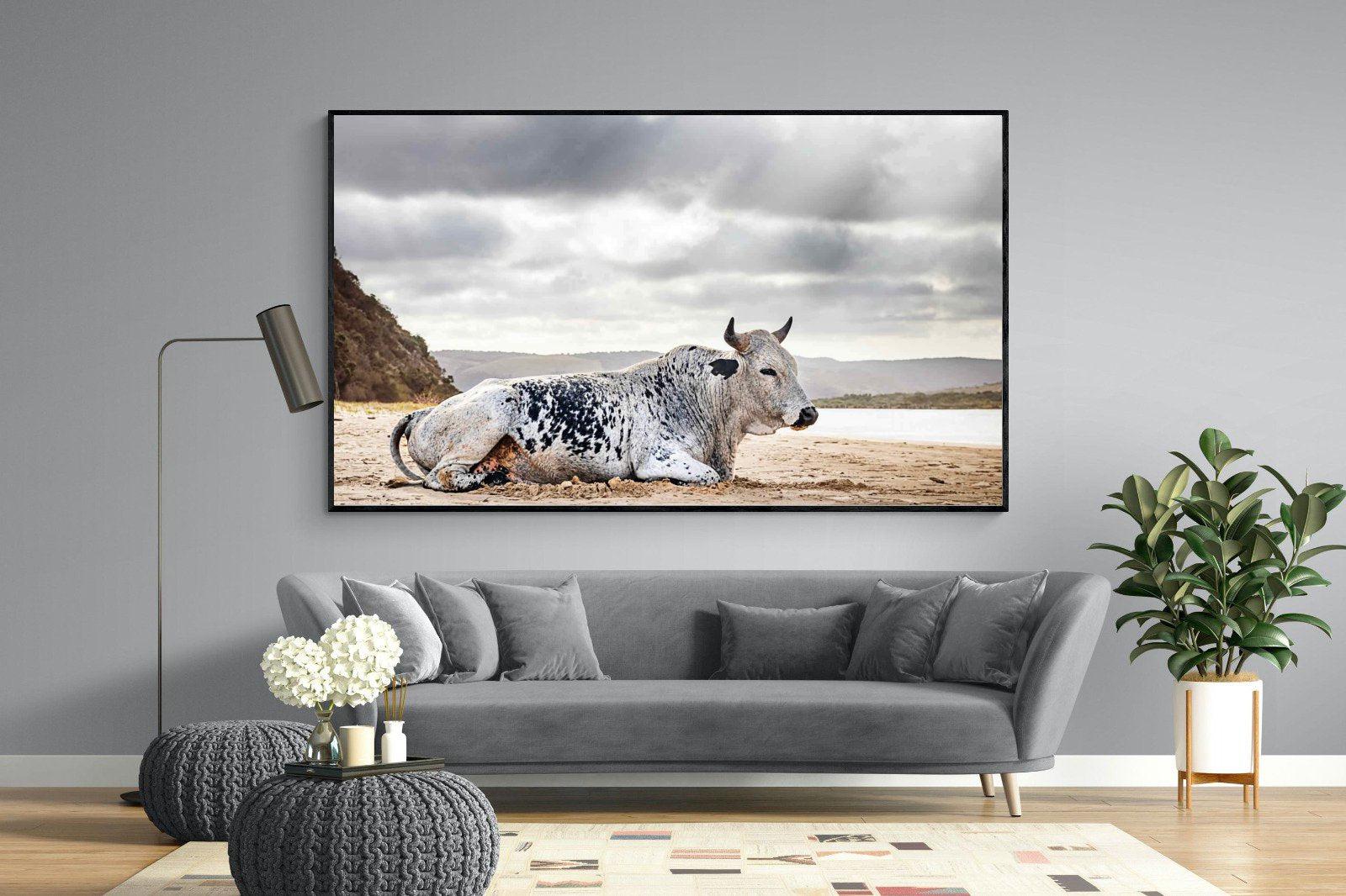 Resting Bull-Wall_Art-220 x 130cm-Mounted Canvas-Black-Pixalot