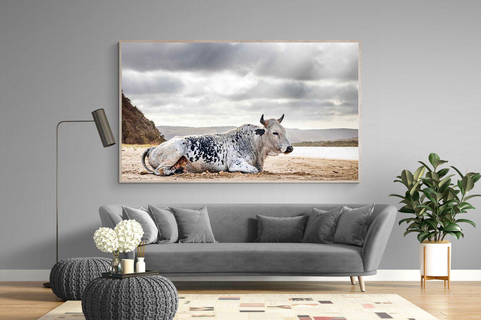 Resting Bull-Wall_Art-220 x 130cm-Mounted Canvas-Wood-Pixalot