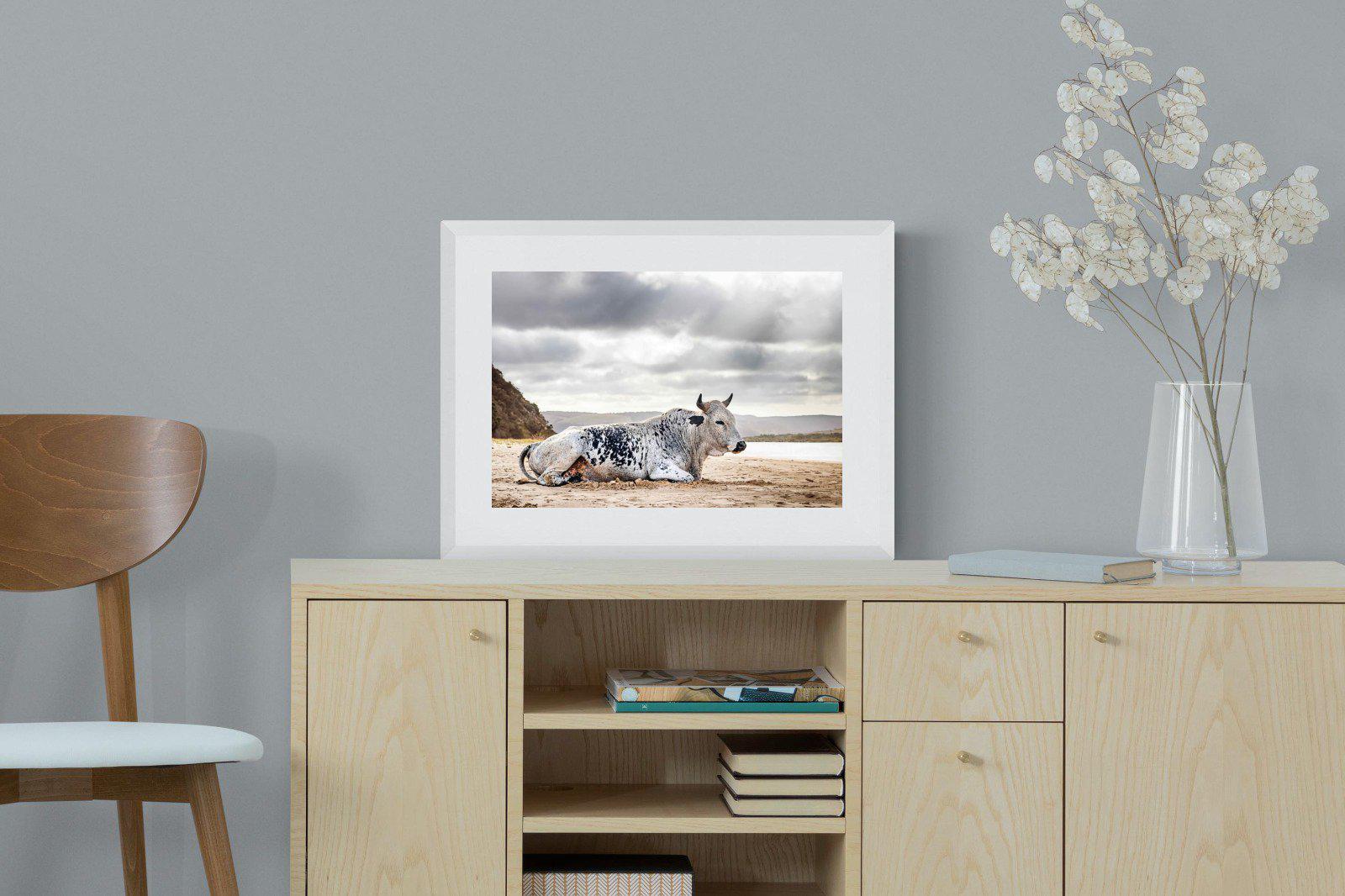 Resting Bull-Wall_Art-60 x 45cm-Framed Print-White-Pixalot