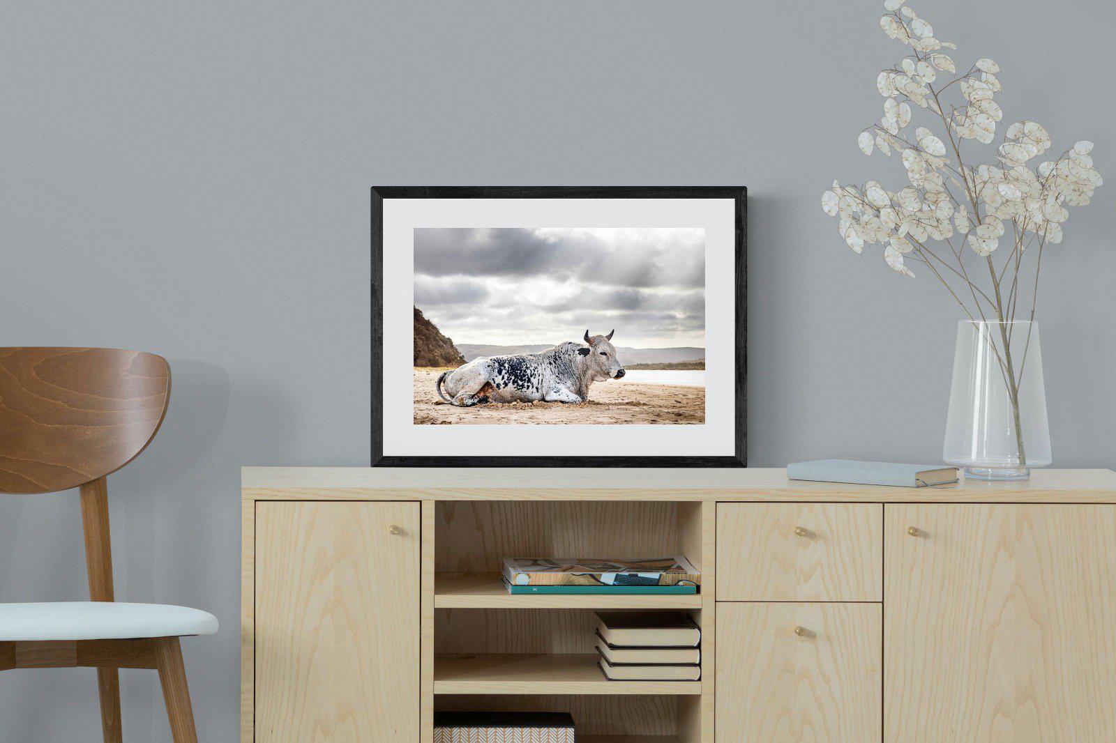 Resting Bull-Wall_Art-60 x 45cm-Framed Print-Black-Pixalot