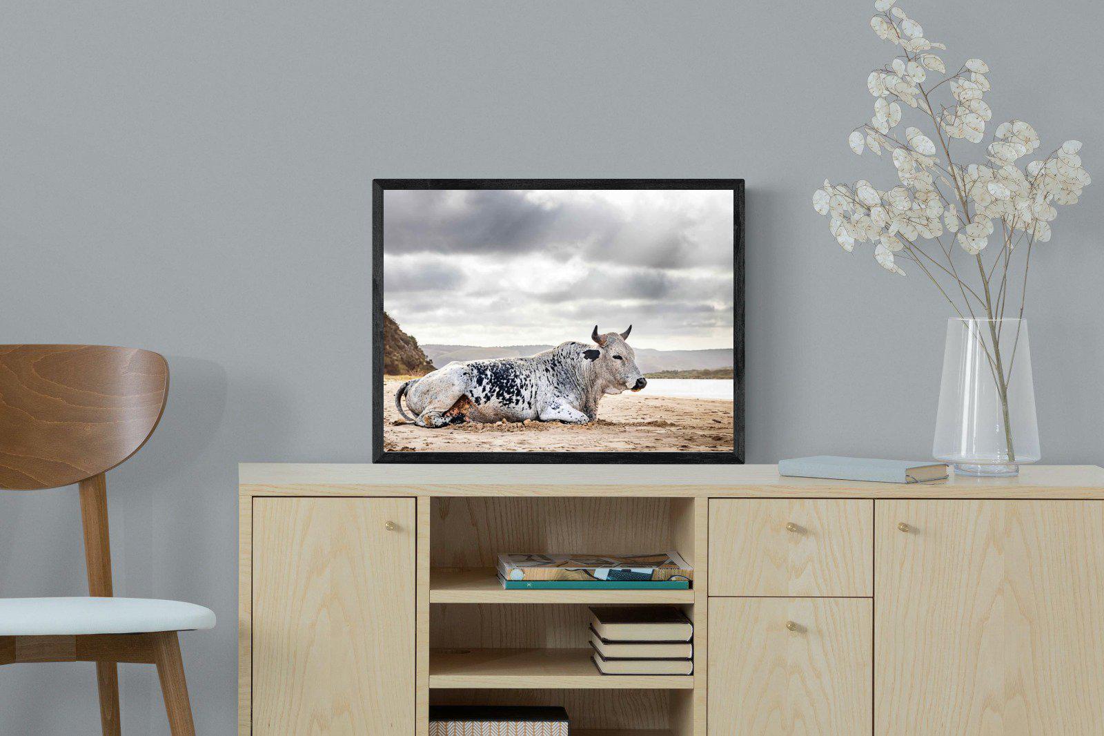 Resting Bull-Wall_Art-60 x 45cm-Mounted Canvas-Black-Pixalot