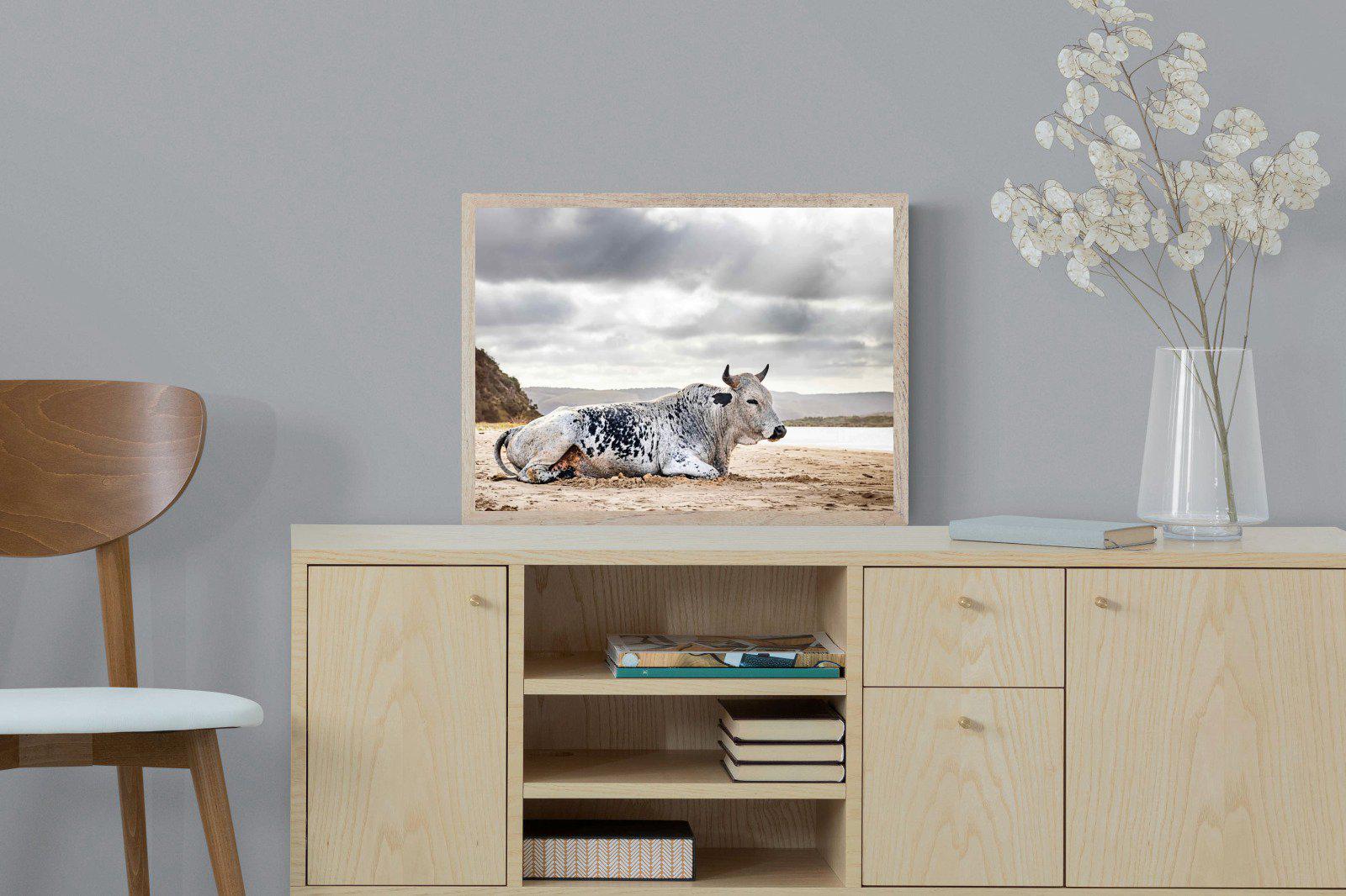 Resting Bull-Wall_Art-60 x 45cm-Mounted Canvas-Wood-Pixalot