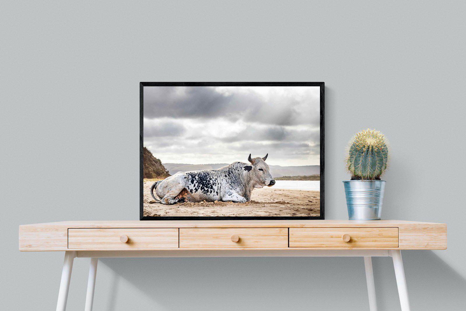 Resting Bull-Wall_Art-80 x 60cm-Mounted Canvas-Black-Pixalot