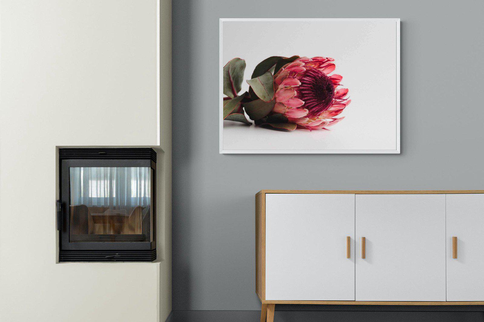 Resting Protea-Wall_Art-100 x 75cm-Mounted Canvas-White-Pixalot