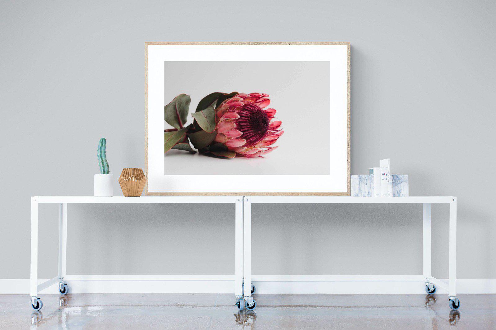Resting Protea-Wall_Art-120 x 90cm-Framed Print-Wood-Pixalot