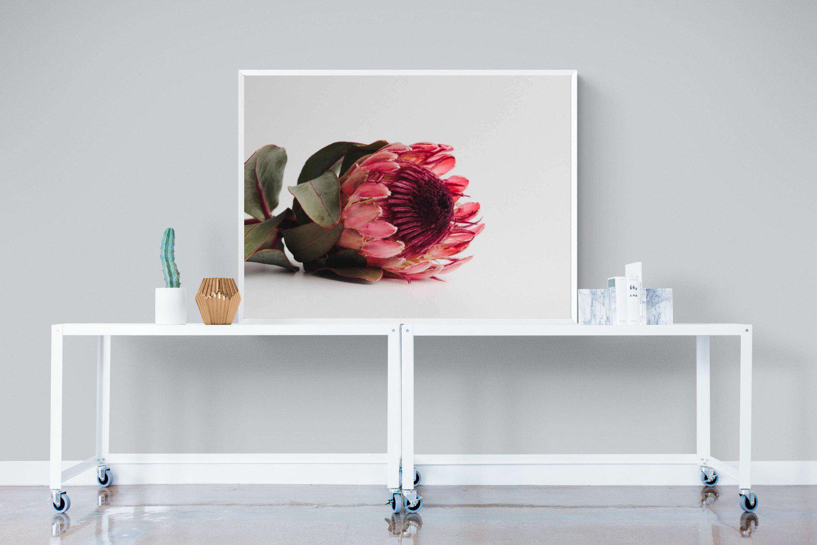 Resting Protea-Wall_Art-120 x 90cm-Mounted Canvas-White-Pixalot