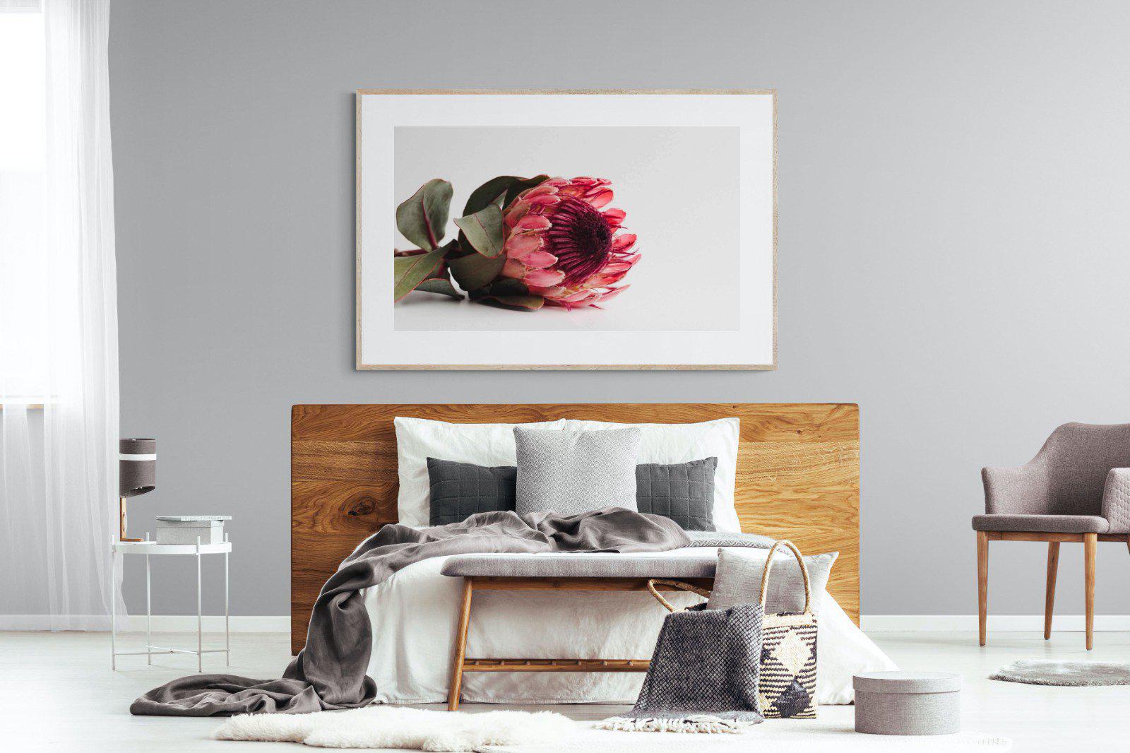 Resting Protea-Wall_Art-150 x 100cm-Framed Print-Wood-Pixalot