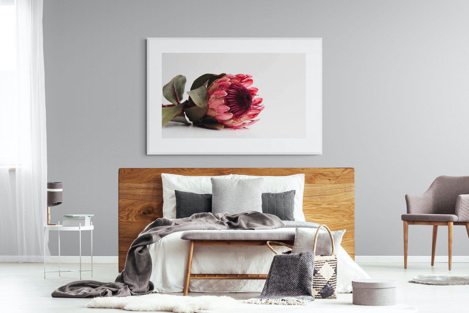 Resting Protea-Wall_Art-150 x 100cm-Framed Print-White-Pixalot