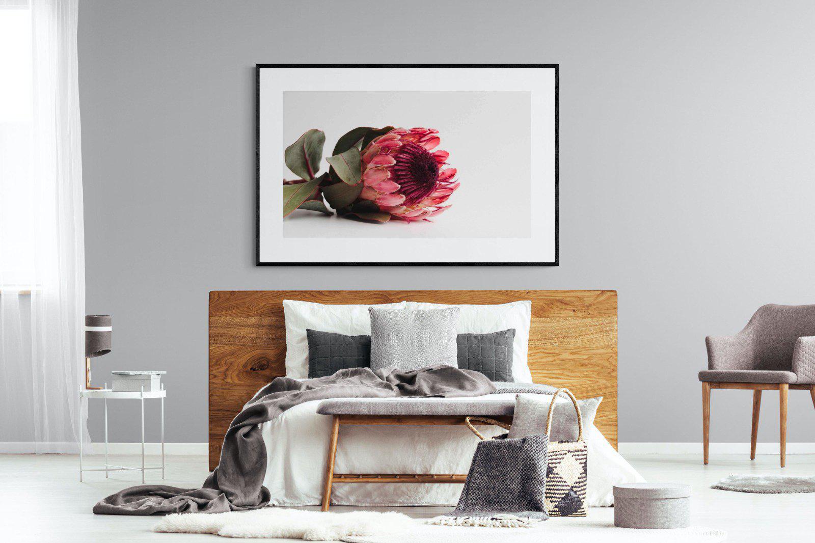 Resting Protea-Wall_Art-150 x 100cm-Framed Print-Black-Pixalot