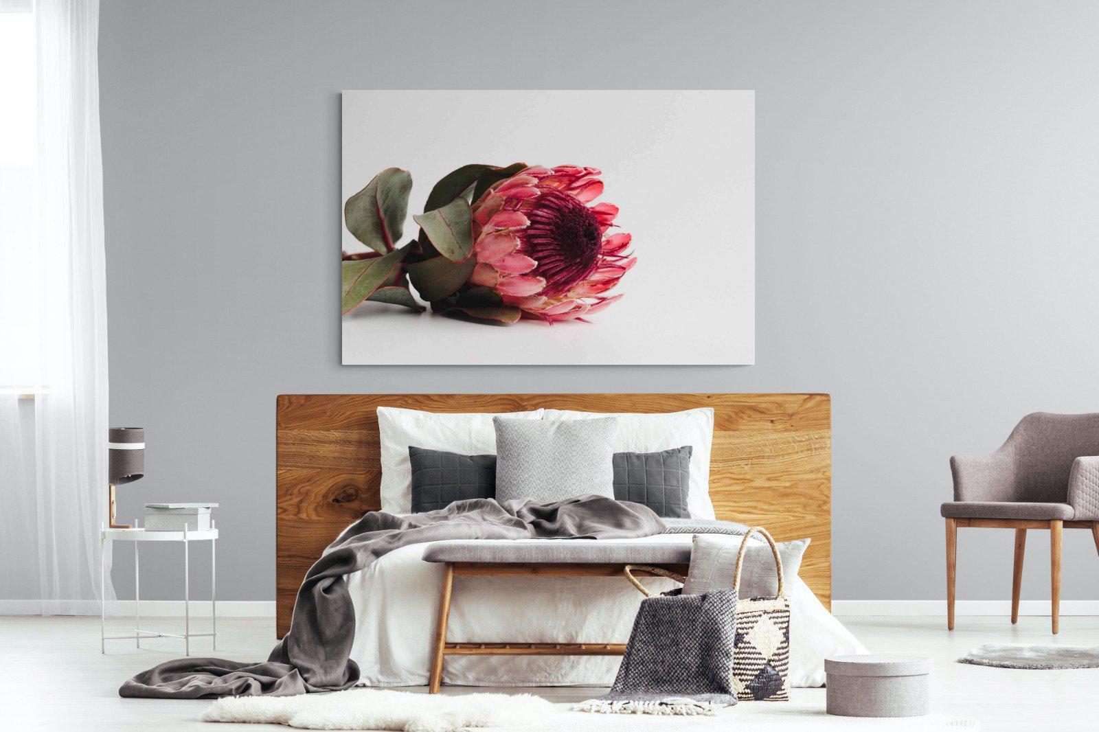 Resting Protea-Wall_Art-150 x 100cm-Mounted Canvas-No Frame-Pixalot