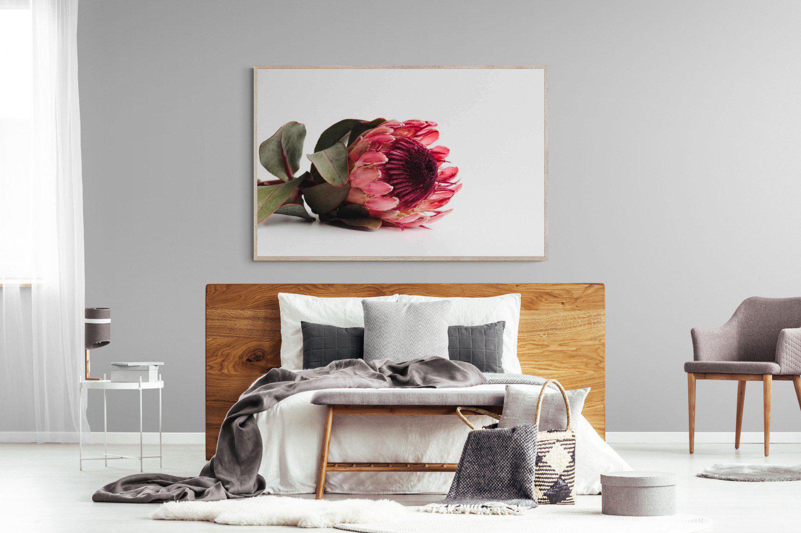 Resting Protea-Wall_Art-150 x 100cm-Mounted Canvas-Wood-Pixalot