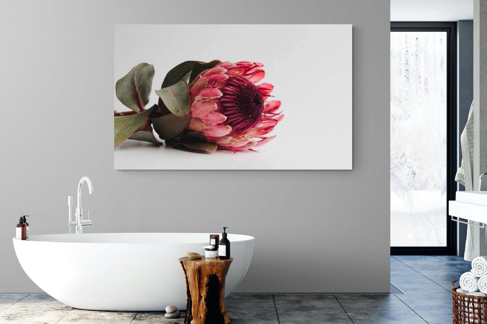 Resting Protea-Wall_Art-180 x 110cm-Mounted Canvas-No Frame-Pixalot