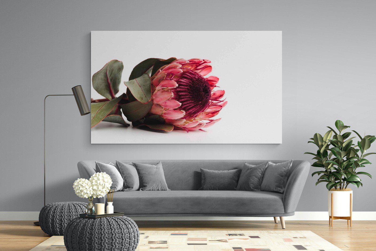 Resting Protea-Wall_Art-220 x 130cm-Mounted Canvas-No Frame-Pixalot