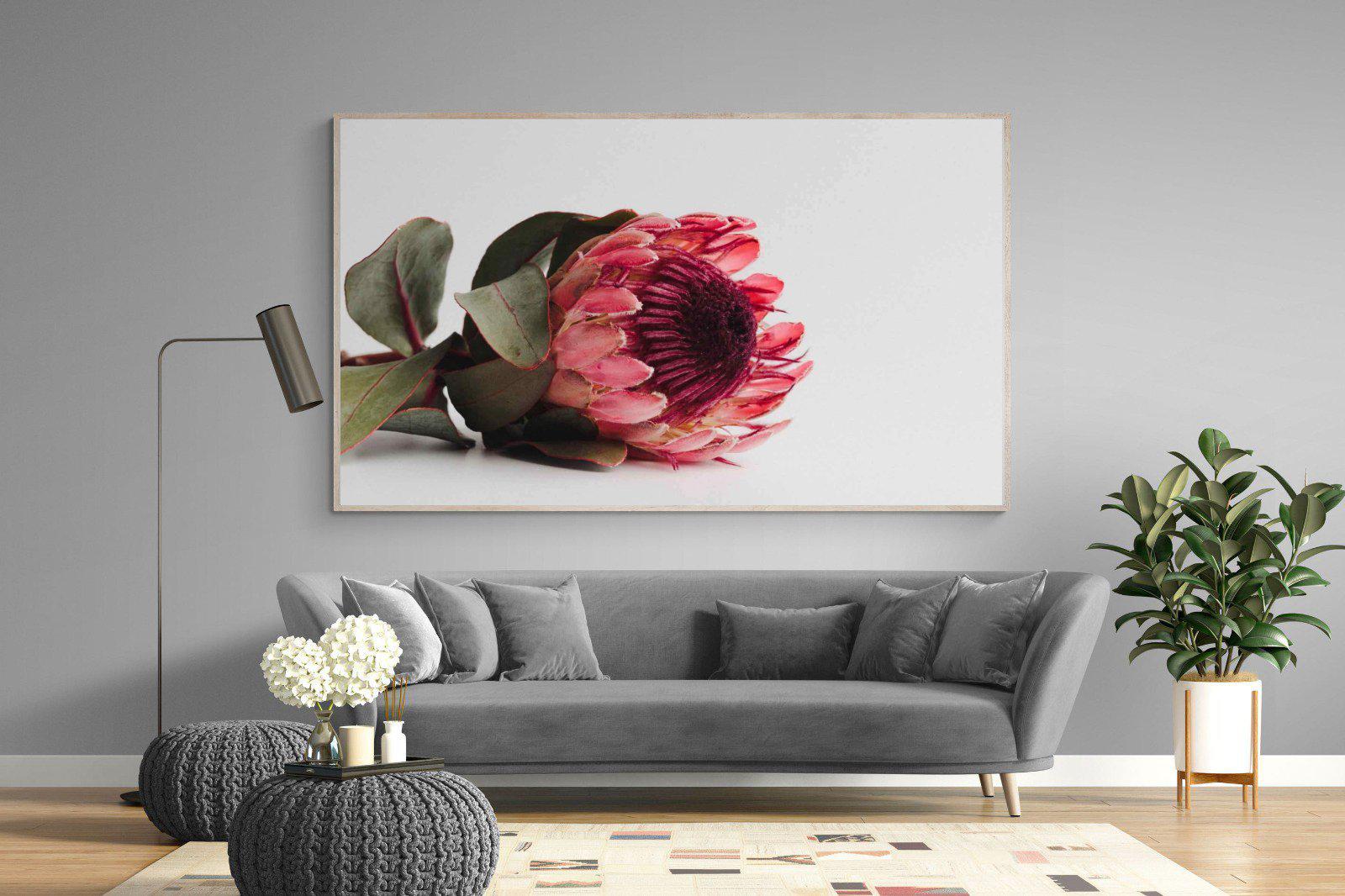 Resting Protea-Wall_Art-220 x 130cm-Mounted Canvas-Wood-Pixalot