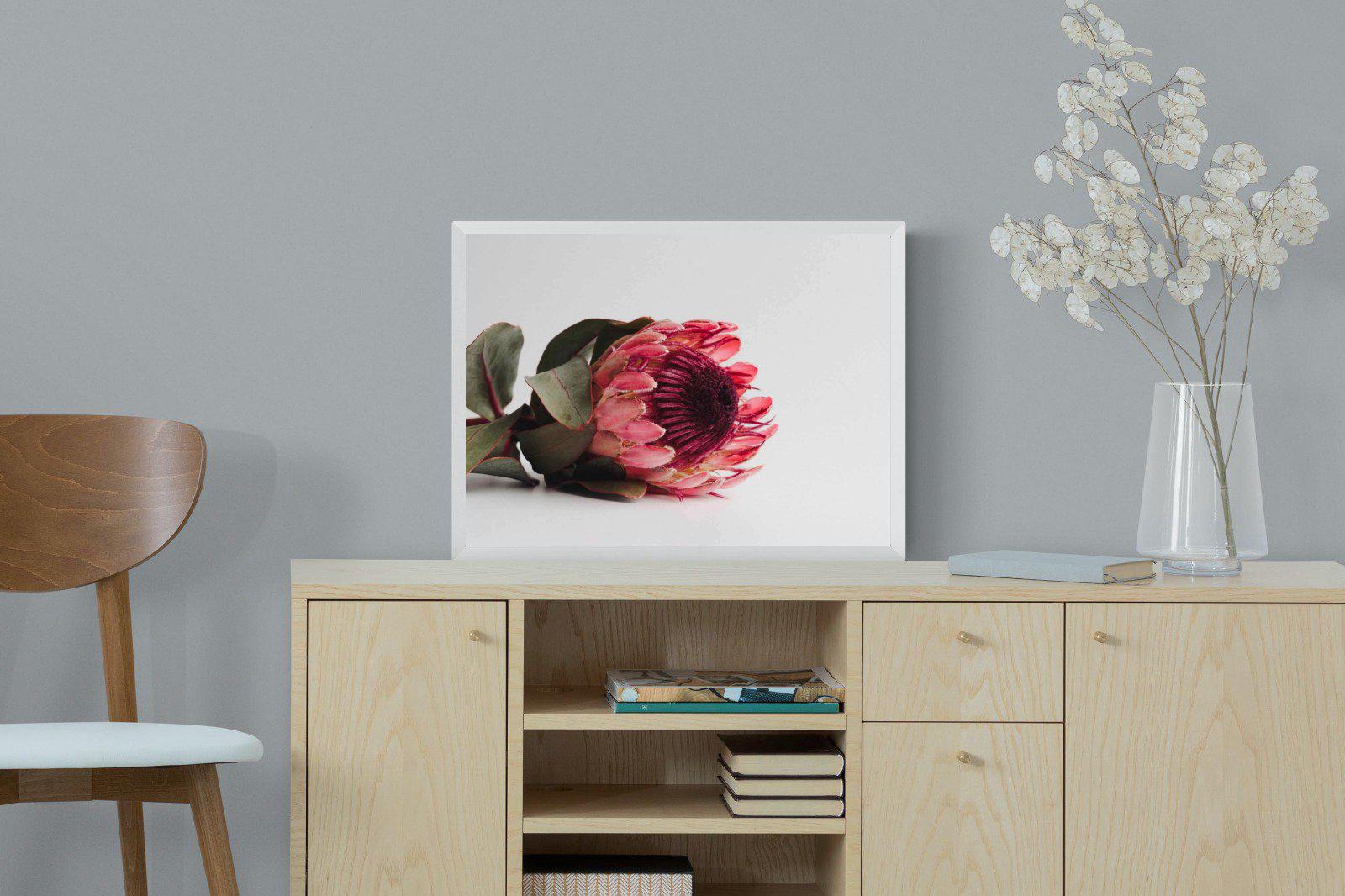 Resting Protea-Wall_Art-60 x 45cm-Mounted Canvas-White-Pixalot