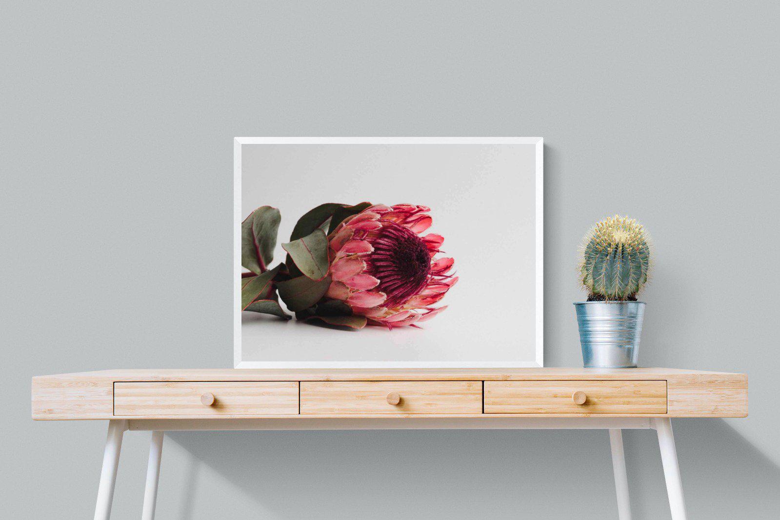 Resting Protea-Wall_Art-80 x 60cm-Mounted Canvas-White-Pixalot