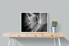 Rhino Eye-Wall_Art-80 x 60cm-Mounted Canvas-White-Pixalot