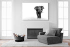 Roaming Bull-Wall_Art-150 x 100cm-Mounted Canvas-White-Pixalot