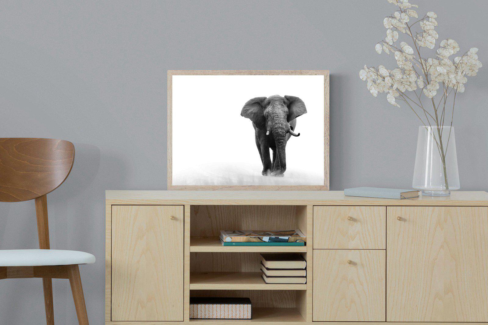 Roaming Bull-Wall_Art-60 x 45cm-Mounted Canvas-Wood-Pixalot