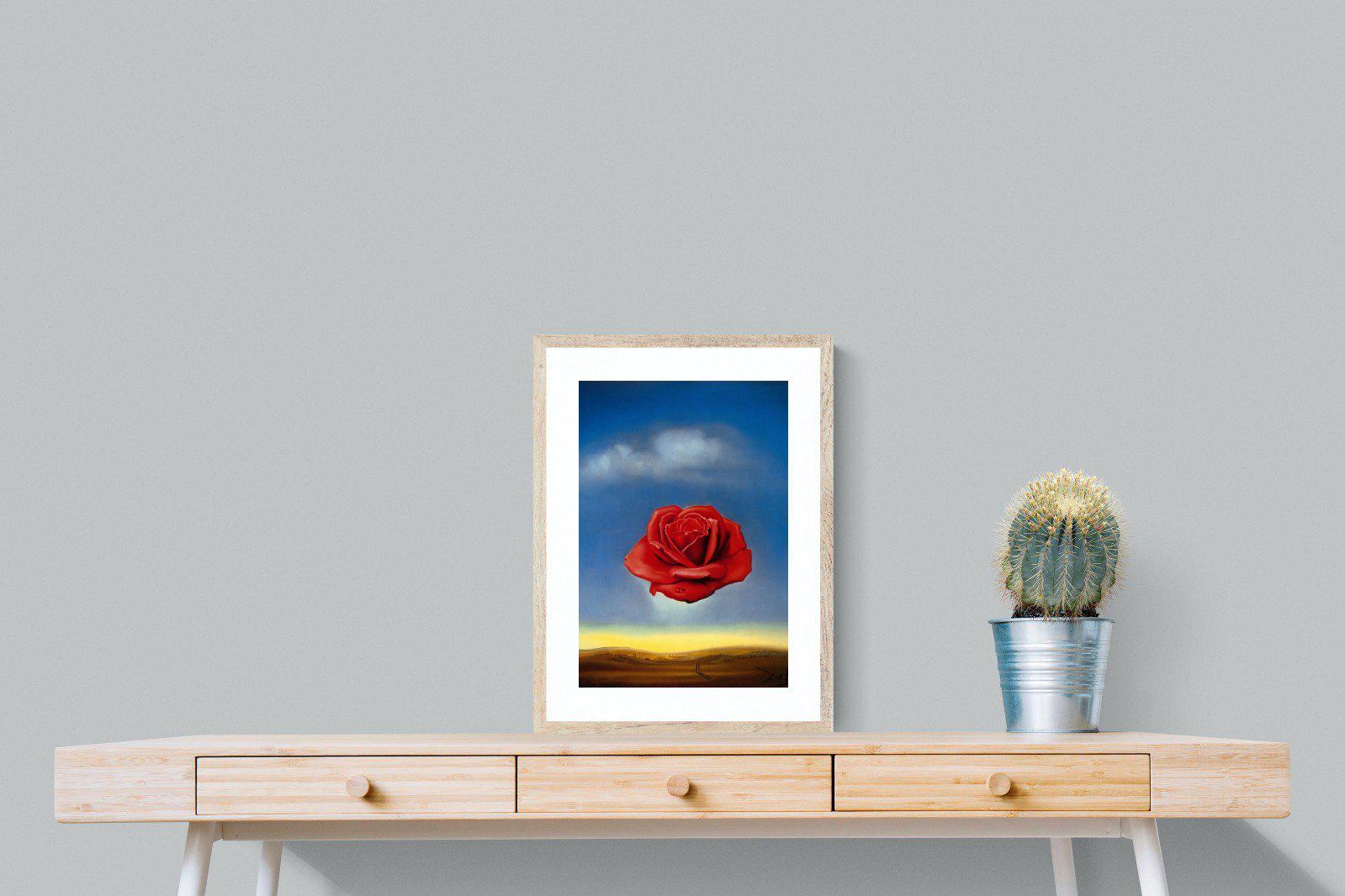Rose Meditative-Wall_Art-45 x 60cm-Framed Print-Wood-Pixalot