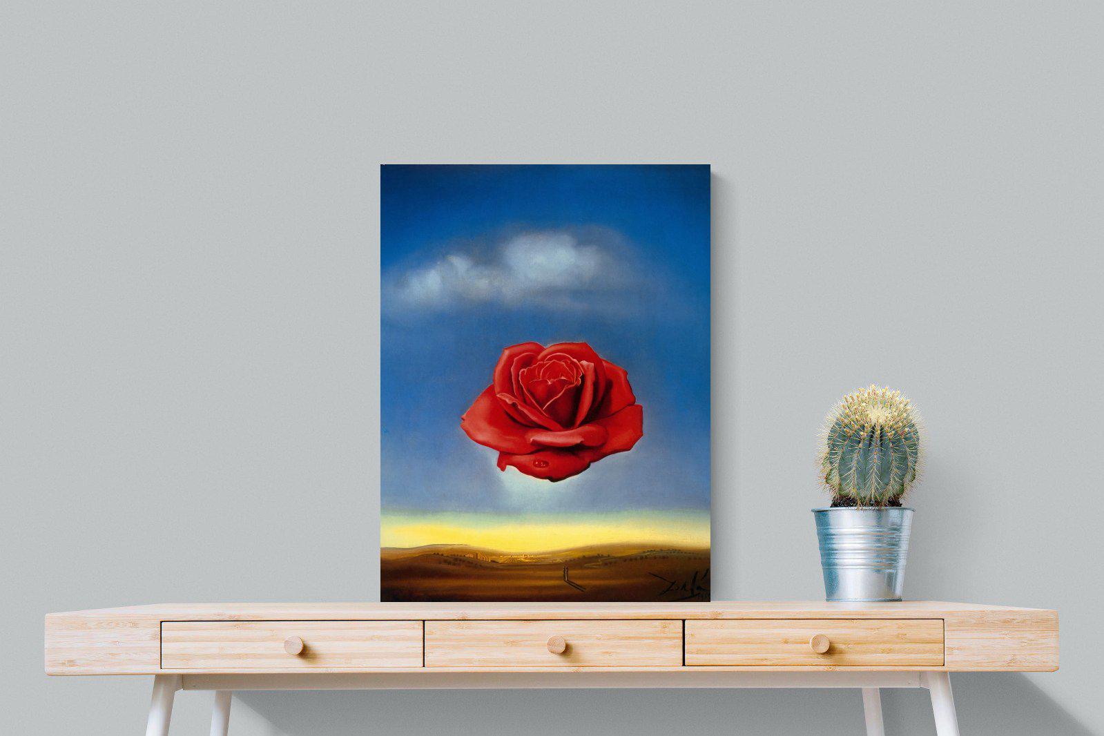 Rose Meditative-Wall_Art-60 x 80cm-Mounted Canvas-No Frame-Pixalot