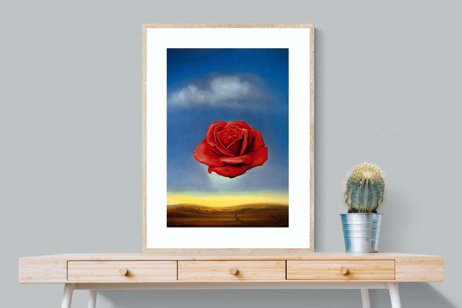 Rose Meditative-Wall_Art-75 x 100cm-Framed Print-Wood-Pixalot