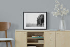 Sable Stallion-Wall_Art-60 x 45cm-Framed Print-Black-Pixalot