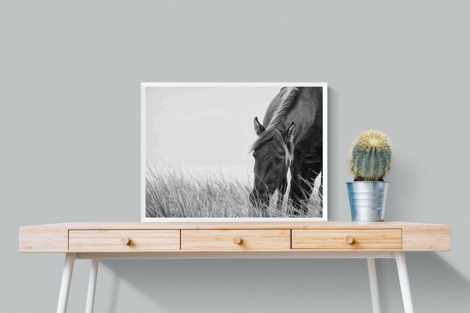 Sable Stallion-Wall_Art-80 x 60cm-Mounted Canvas-White-Pixalot