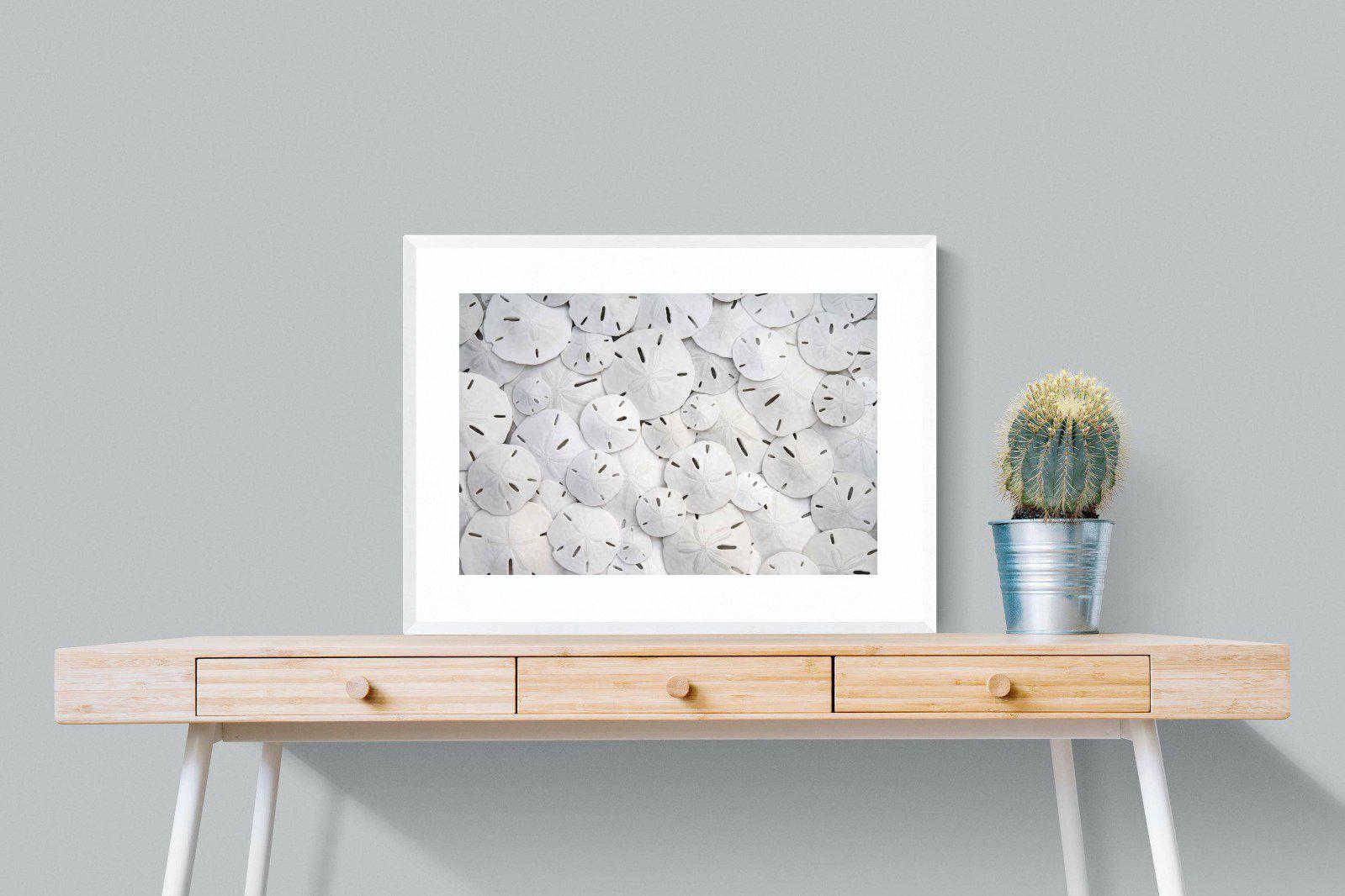 Sand Dollars-Wall_Art-80 x 60cm-Framed Print-White-Pixalot