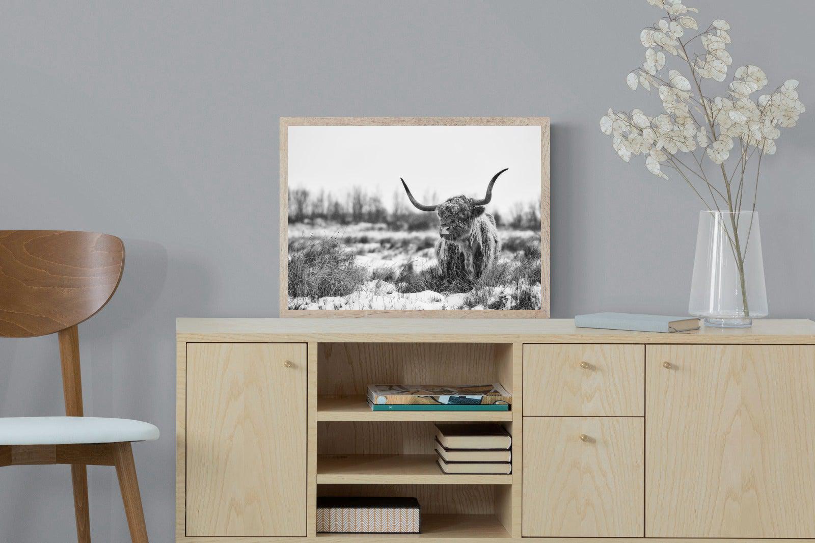 Scottish Highlander (black & white)-Wall_Art-60 x 45cm-Mounted Canvas-Wood-Pixalot