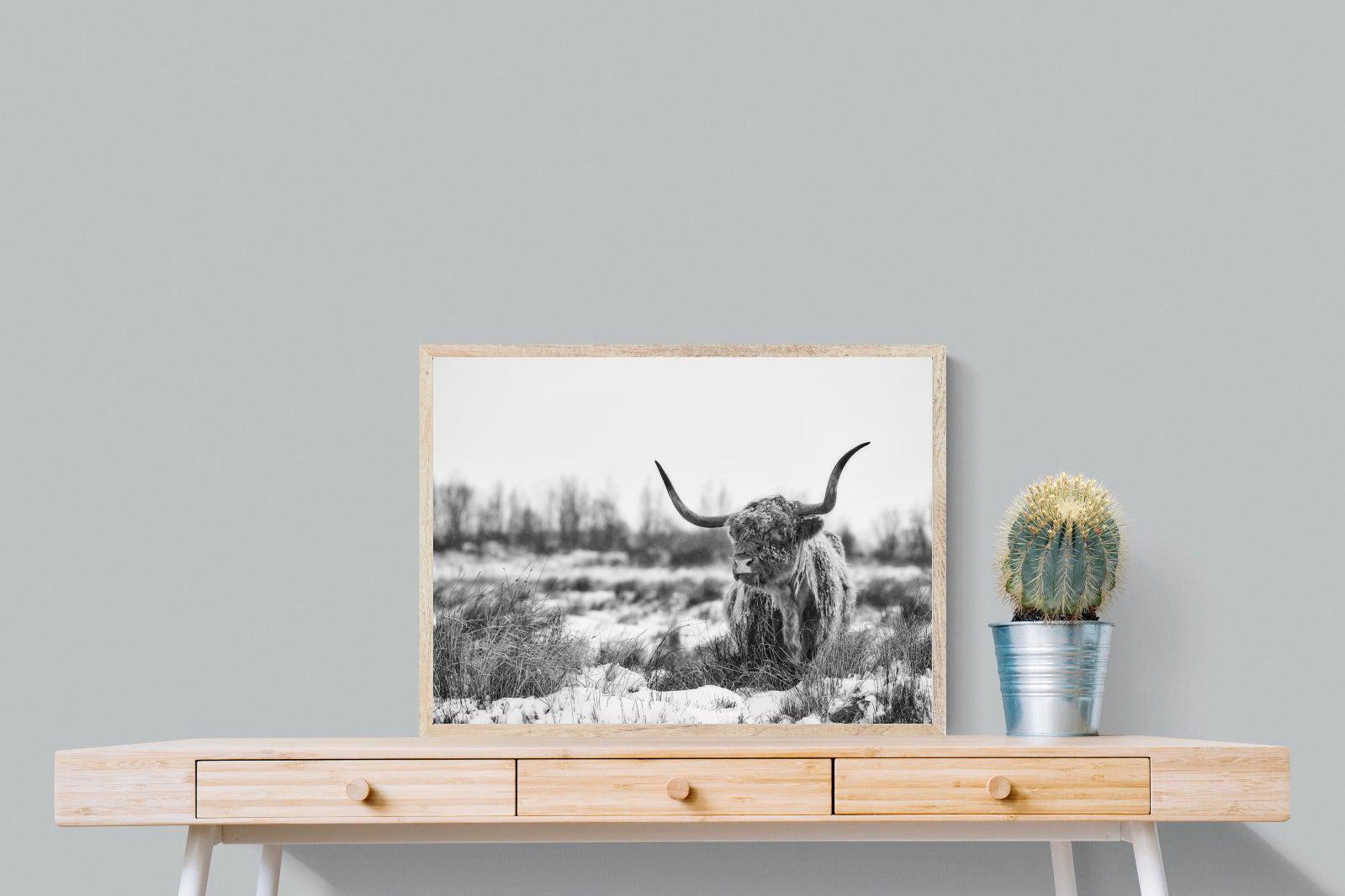 Scottish Highlander (black & white)-Wall_Art-80 x 60cm-Mounted Canvas-Wood-Pixalot