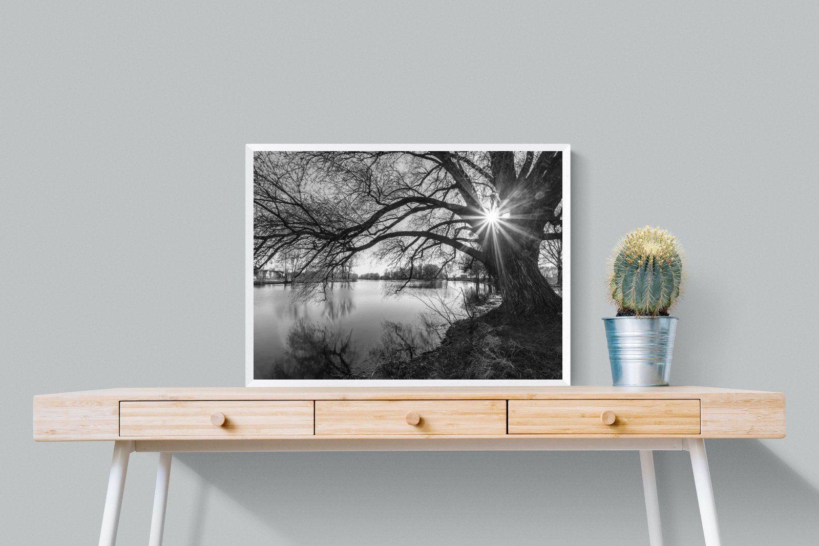 Shards of Light-Wall_Art-80 x 60cm-Mounted Canvas-White-Pixalot