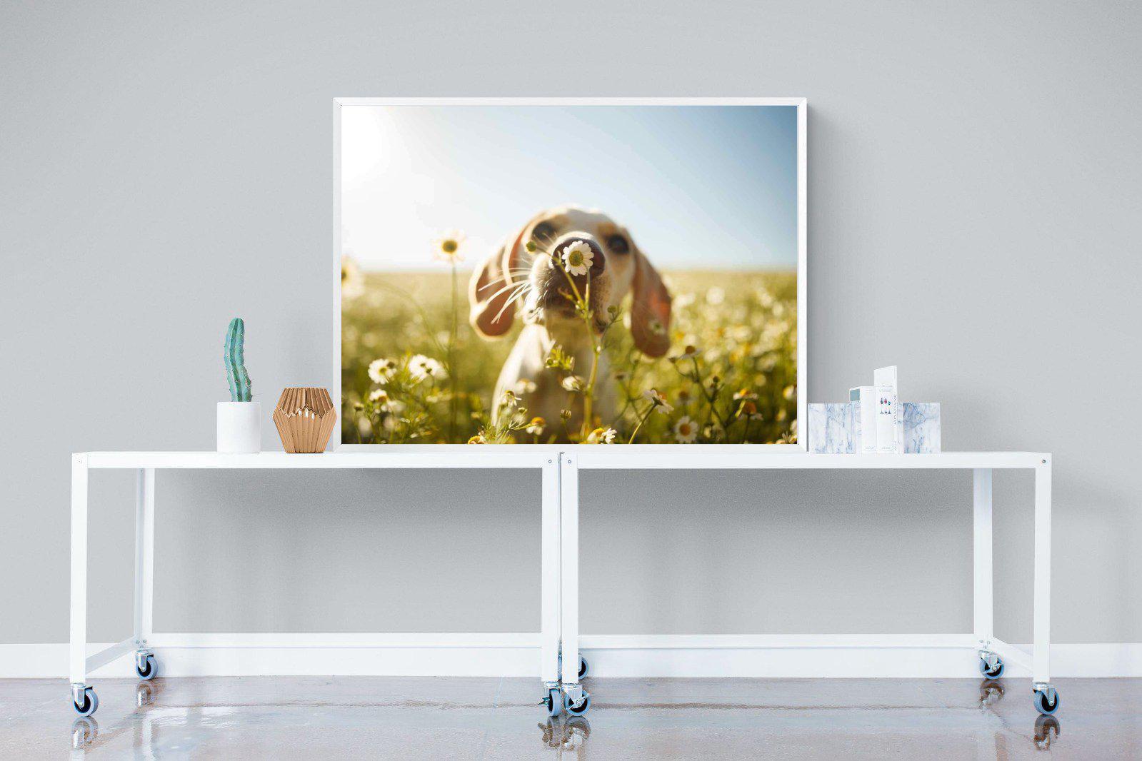 Sniff-Wall_Art-120 x 90cm-Mounted Canvas-White-Pixalot